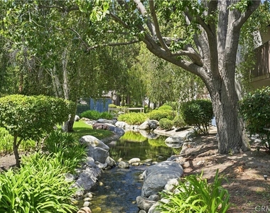 26701 Quail - Photo Thumbnail 25