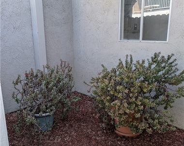 205 13th Street - Photo Thumbnail 5
