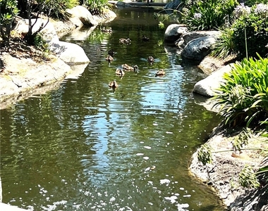 26701 Quail Creek - Photo Thumbnail 13