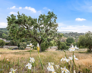 167 Rimrock Road - Photo Thumbnail 21