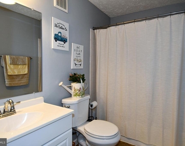 11944 Cardamom Drive - Photo Thumbnail 18