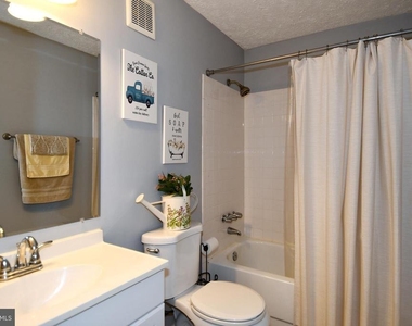 11944 Cardamom Drive - Photo Thumbnail 19