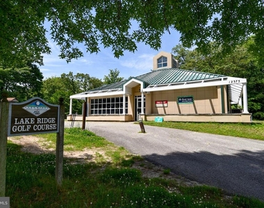 11944 Cardamom Drive - Photo Thumbnail 37