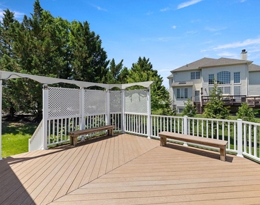 22561 Howardsville Woods Court - Photo Thumbnail 56