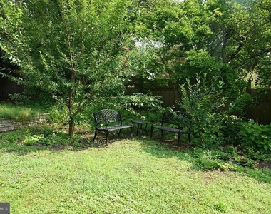 36 Hart Avenue - Photo Thumbnail 59