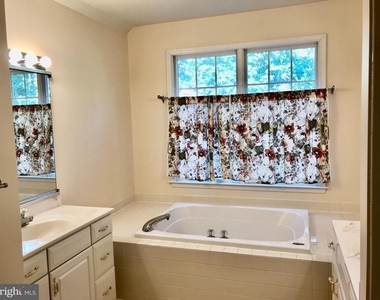 22008 Ivy Leaf Drive - Photo Thumbnail 11