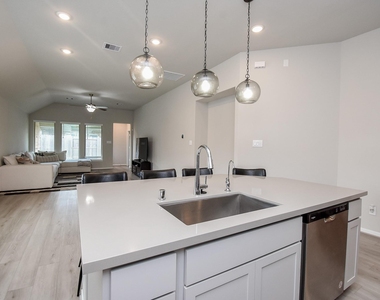 17007 Shine Bright Court - Photo Thumbnail 9