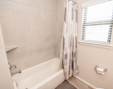 17007 Shine Bright Court - Photo Thumbnail 17