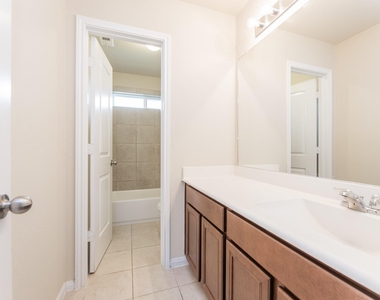24922 Scarlatti Cantata Drive - Photo Thumbnail 30