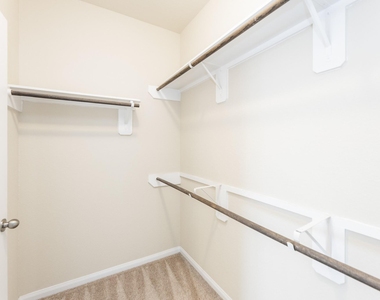 24922 Scarlatti Cantata Drive - Photo Thumbnail 19
