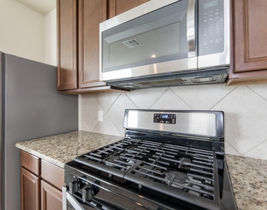 24922 Scarlatti Cantata Drive - Photo Thumbnail 12