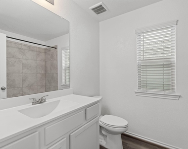 25702 Bottlebrush Sedge Street - Photo Thumbnail 25