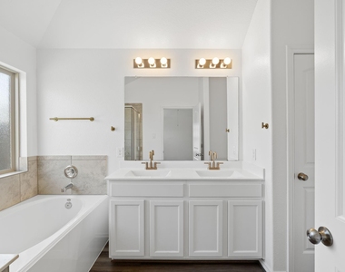 25702 Bottlebrush Sedge Street - Photo Thumbnail 20