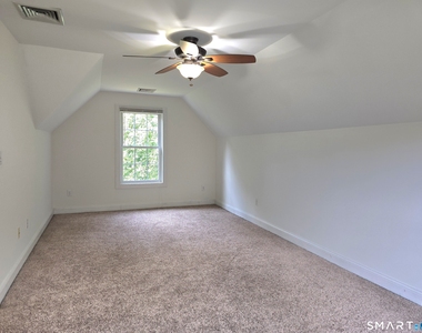 299 Bushy Hill Road - Photo Thumbnail 16