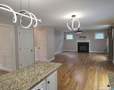 299 Bushy Hill Road - Photo Thumbnail 3