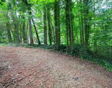2262 Cobb Creek Drive - Photo Thumbnail 37
