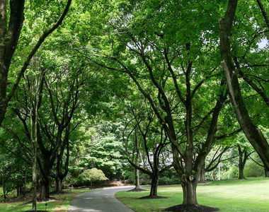 15 Page Drive - Photo Thumbnail 67