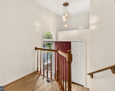 14637 Stream Pond Drive - Photo Thumbnail 4