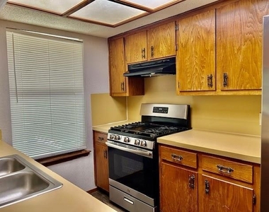3413 Rocky Hollow Trl - Photo Thumbnail 8