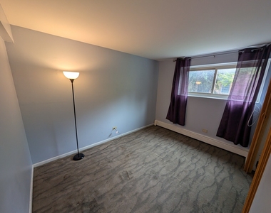 4939 S Dorchester Avenue - Photo Thumbnail 7