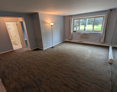 4939 S Dorchester Avenue - Photo Thumbnail 1