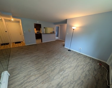 4939 S Dorchester Avenue - Photo Thumbnail 3
