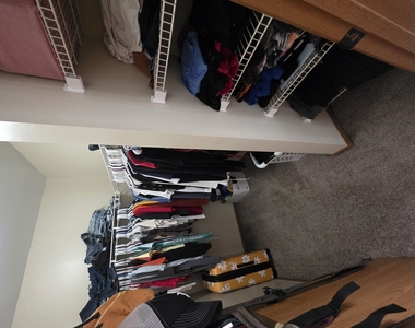 4402 W Shamrock Lane - Photo Thumbnail 9
