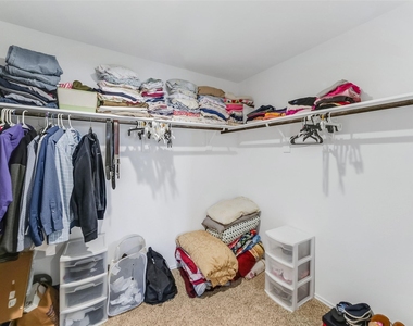 40519 Crisp Beech Street - Photo Thumbnail 27