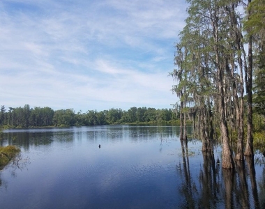 14263 Damselfly Drive - Photo Thumbnail 44