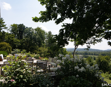 63 Belden Street - Photo Thumbnail 33