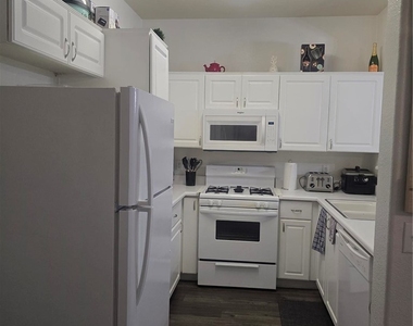 1009 Nevada Sky Street - Photo Thumbnail 2