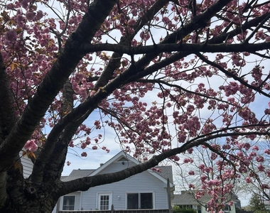 465 Adrian Avenue - Photo Thumbnail 12