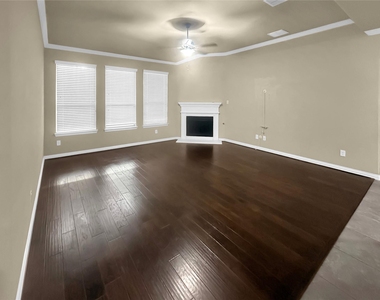 909 Blanco Lane - Photo Thumbnail 3