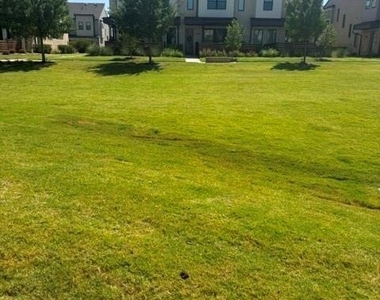 800 Bandera Court - Photo Thumbnail 12