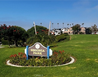 602 Begonia - Photo Thumbnail 10