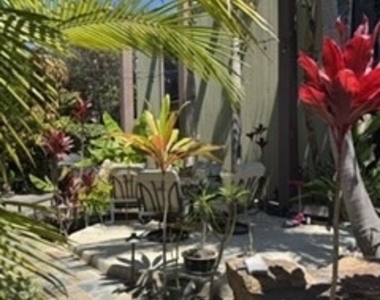 343 Myrtle Street - Photo Thumbnail 17