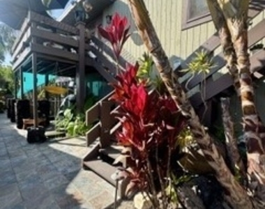 343 Myrtle Street - Photo Thumbnail 20