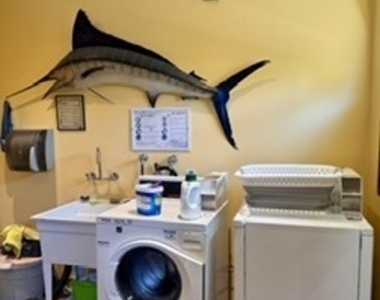 343 Myrtle Street - Photo Thumbnail 12
