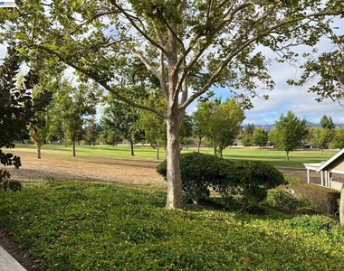 701 Glen Eagle Ct - Photo Thumbnail 11