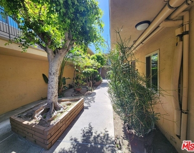 7925 Vineland Avenue - Photo Thumbnail 26