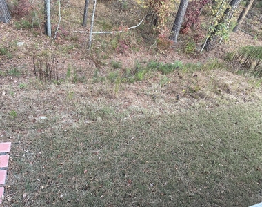 1205 Spring Wheat Court - Photo Thumbnail 76