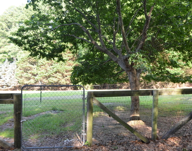 1212 Happy Hunting Hills Drive - Photo Thumbnail 6