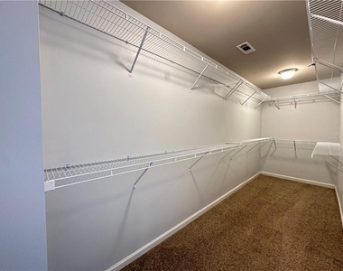 1129 Ida Woods Court - Photo Thumbnail 19