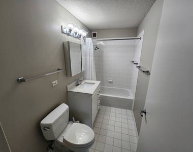 2 E Erie Street - Photo Thumbnail 6