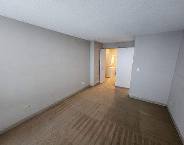 2 E Erie Street - Photo Thumbnail 3