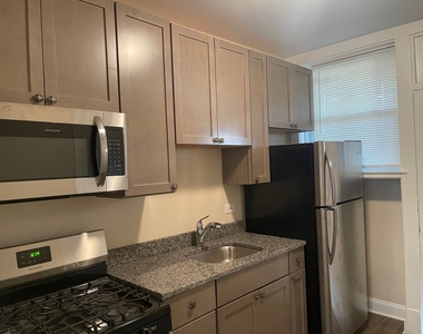2540 W Thorndale Avenue - Photo Thumbnail 3