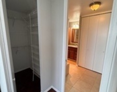 505 N Lake Shore Drive - Photo Thumbnail 20