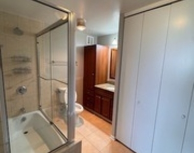505 N Lake Shore Drive - Photo Thumbnail 19