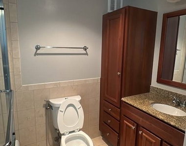 505 N Lake Shore Drive - Photo Thumbnail 23
