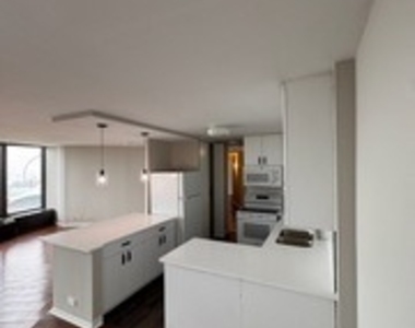 505 N Lake Shore Drive - Photo Thumbnail 4